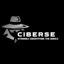 Ciberse logo